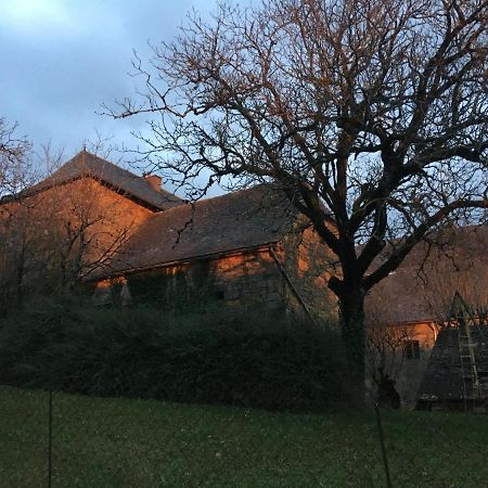 Le Chateau De Lunel Saint-Felix-de-Lunel Bagian luar foto