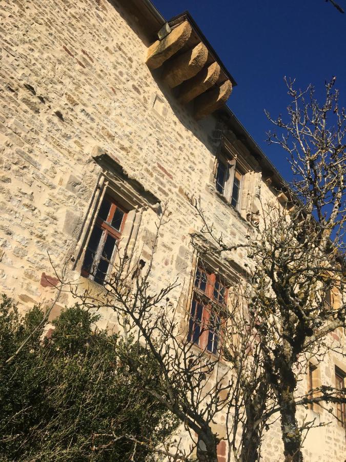 Le Chateau De Lunel Saint-Felix-de-Lunel Bagian luar foto